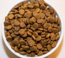 Holistic Choice Chicken & Brown Rice