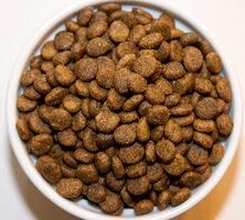 Holistic Choice Salmon & Sweet Potato Grain Free