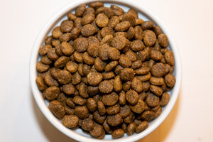 Holistic Choice Salmon