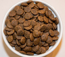 Holistic Choice Buffalo & Duck Grain Free