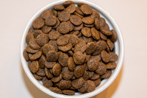 Holistic Buffalo & Duck Grain Free