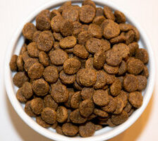 Holistic Choice Chicken, Turkey & Salmon Grain Free Canine