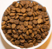 Holistic Choice Opticoat Hypoallergenic Fish & Potato