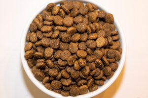 Holistic Growth & Performance