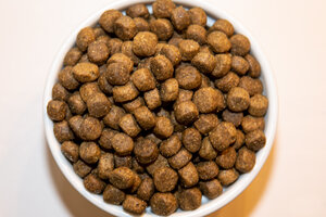 Holistic Lamb & Brown Rice Premium