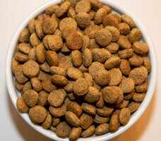 Holistic Choice Select Low Fat