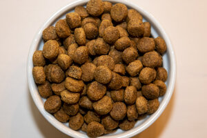 Premium Adult Maintenance