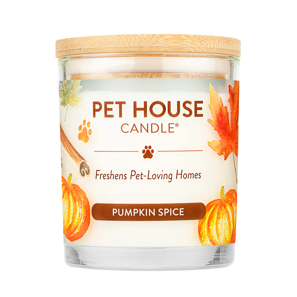 Pet House Pumpkin Spice Candle – Large