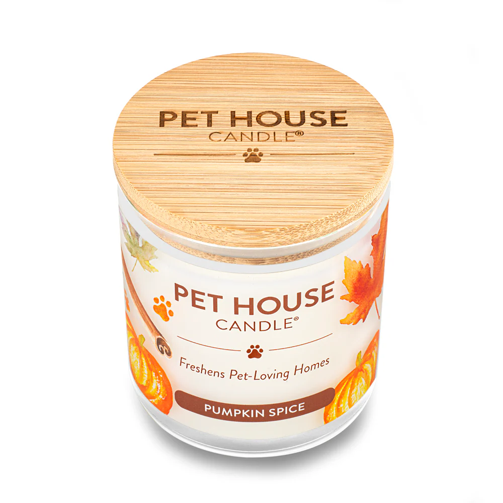 Pet House Pumpkin Spice Candle – Large