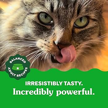 Feline Greenies Catnip Flavor Dental Treats – 2.1 oz.