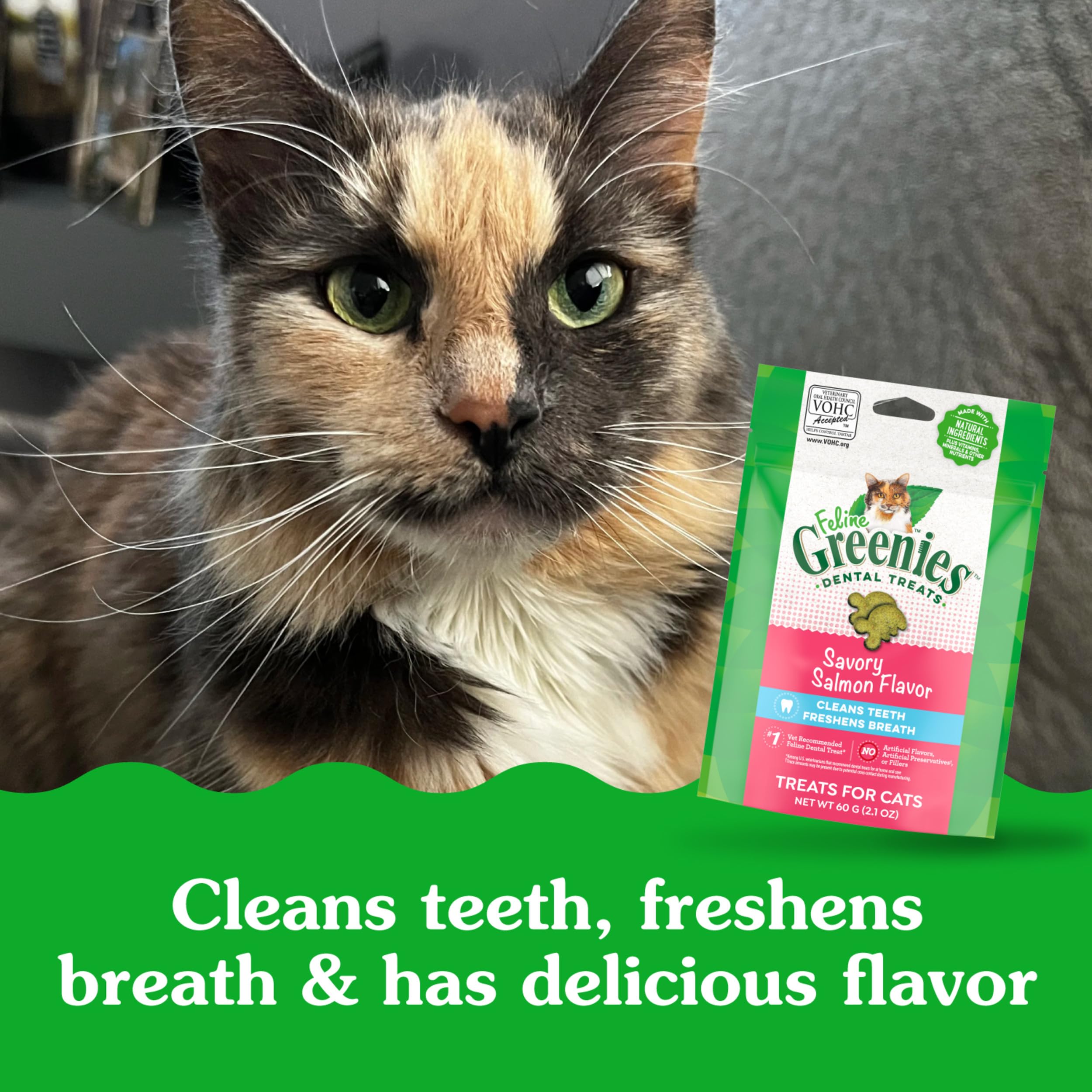 Feline Greenies Savory Salmon Flavor Dental Treats – 2.1 oz.