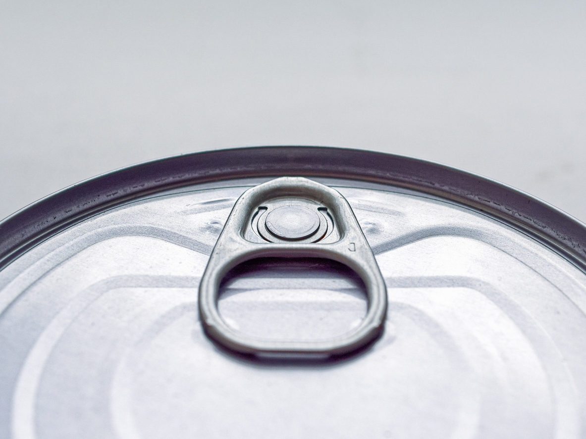 Dave’s STEWlicious Beef & Vegetable Stew Grain-Free Canned Wet Dog Food, 13.2-oz