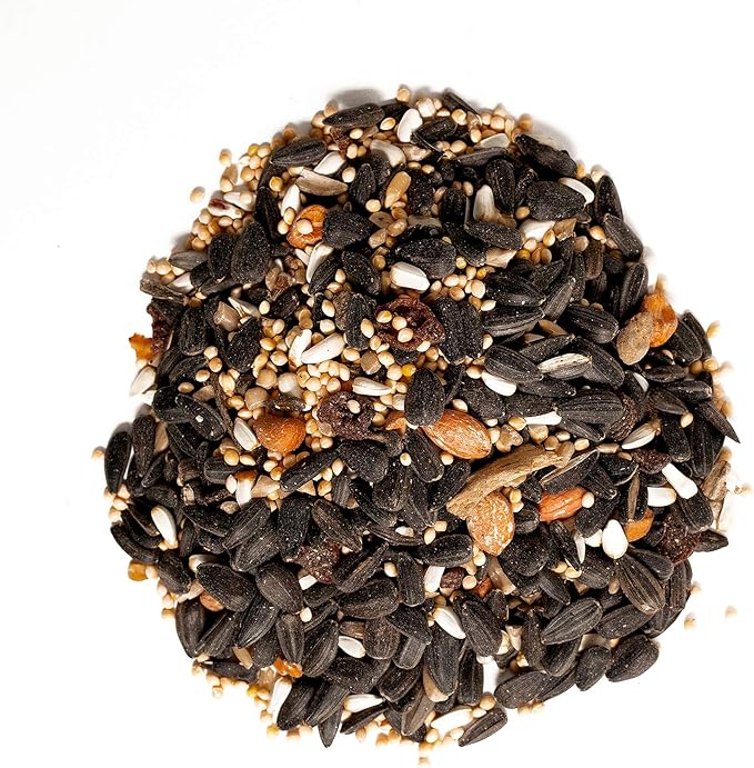 Shafer Seed – Songbird Supreme – 8 lbs.