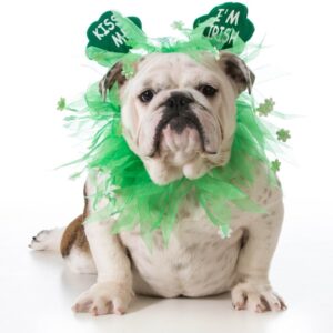 March Facebook - FREE Chew Pack