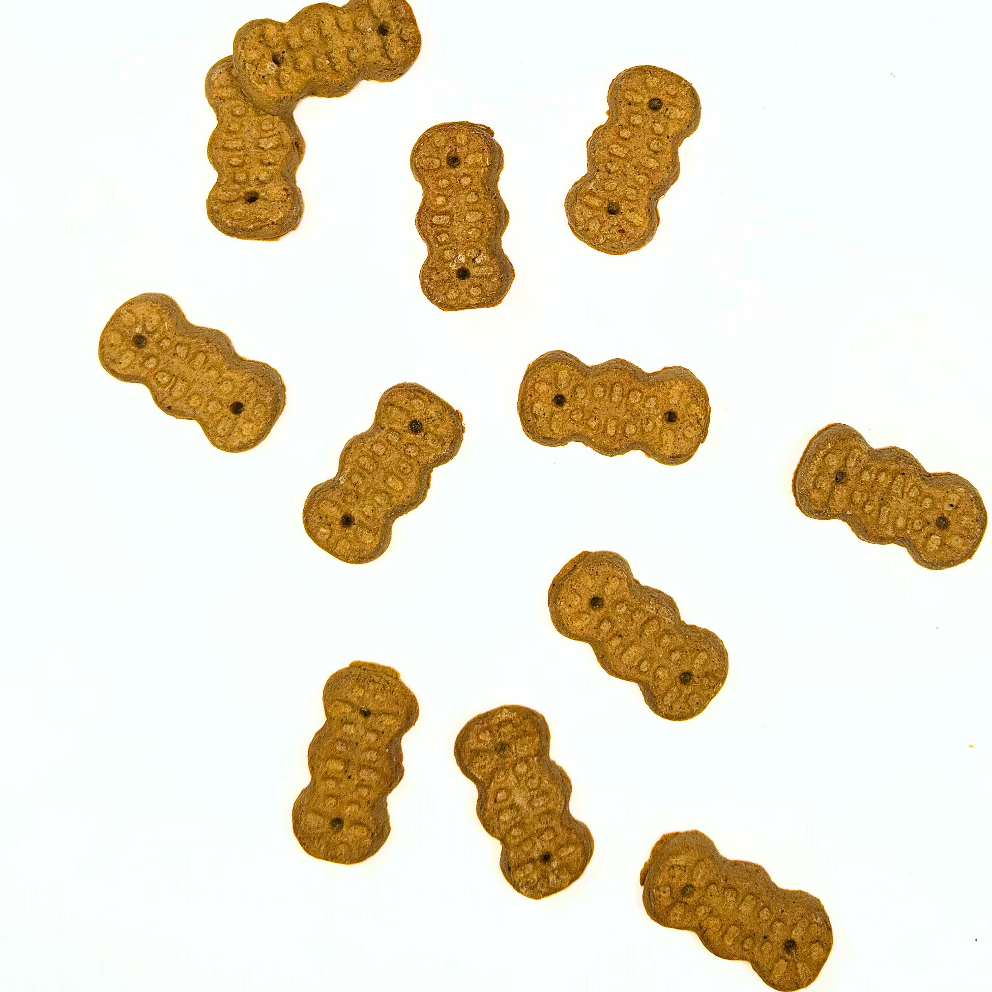 Wholesomes Gourmet Rewards Roasted Peanut Butter Harvest Biscuits – 20 oz. bag