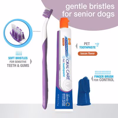 Nylabone Advanced Oral Care Senior Dog Dental Kit 3 Pack