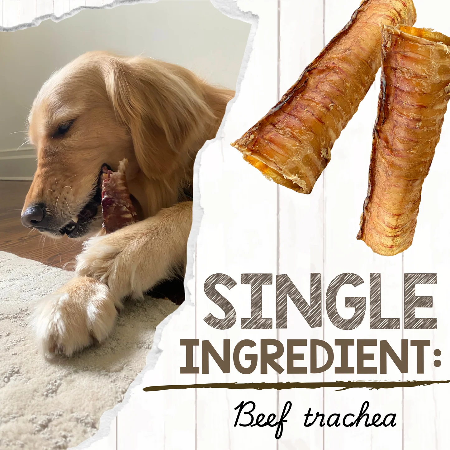Raw Dog Beef Trachea Tube – 6 in.