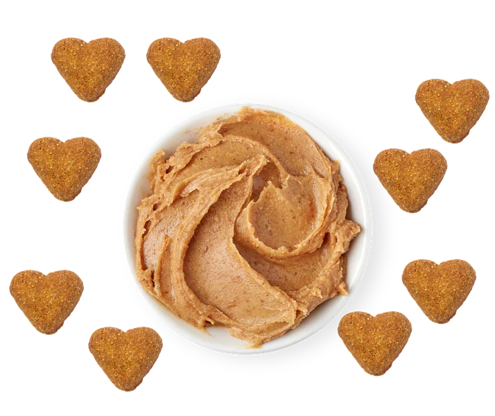 Darford Soft Baked Peanut Buttery Dog Treat – 10 oz.