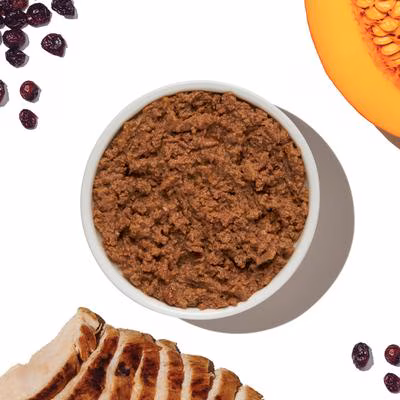 The Honest Kitchen Human Grade Grain-Free Chicken Pate Wet Cat Food – 5.5 oz.