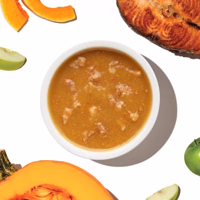 The Honest Kitchen Human-Grade Bone Broth Pour Over Salmon & Pumpkin – 5.5 oz.