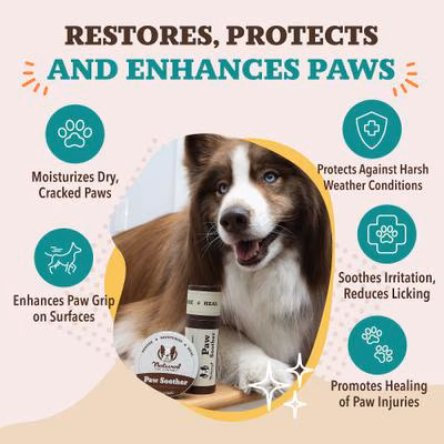 Natural Dog Company Paw Soother Stick – 2 oz.