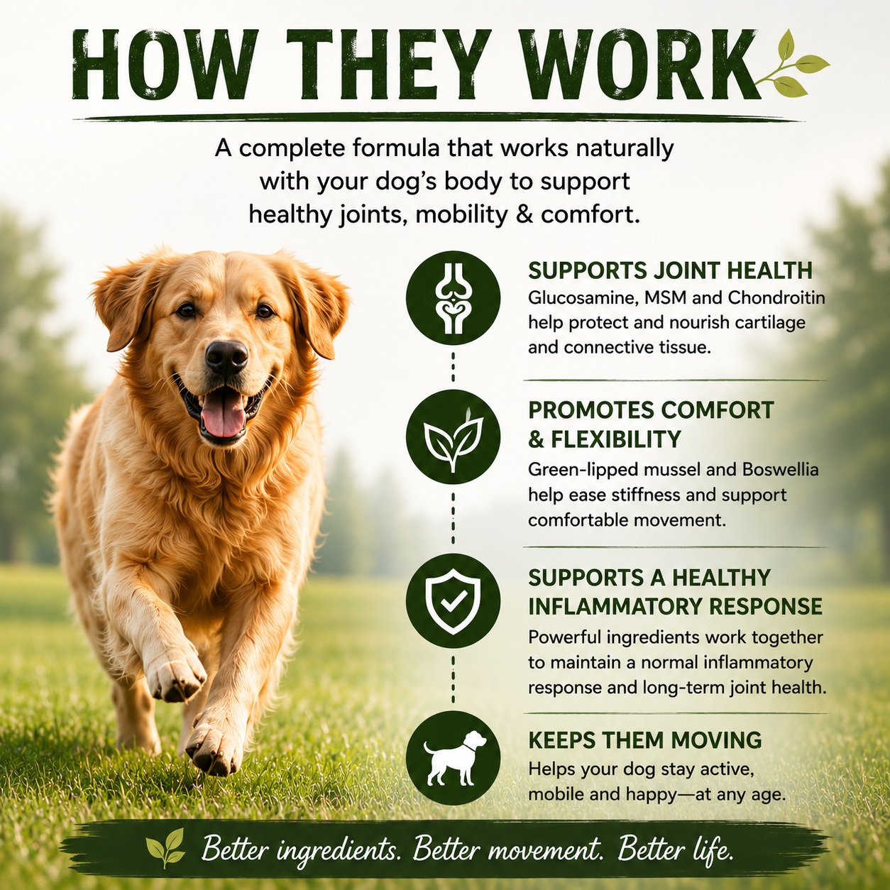 Wholistic Pet Organics – Hip & Joint Soft Chews – 90 count